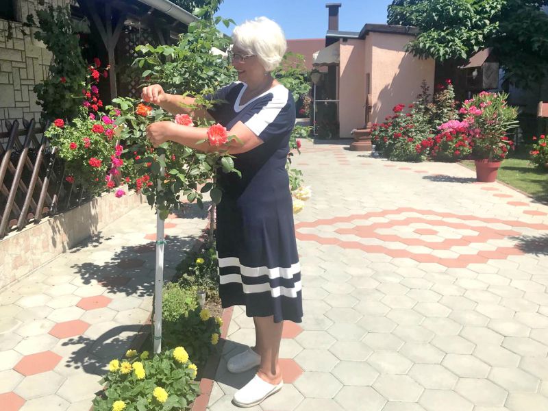 Gordana Knežević Cvet po cvet cvetored